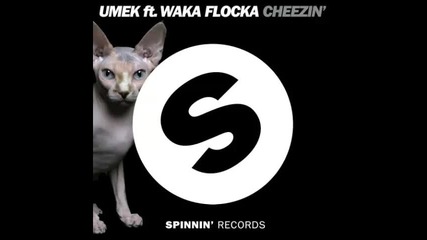 *2015* Umek ft. Waka Flocka Flame - Cheezin'