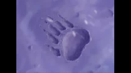 Tierra De Osos (brother Bear) Parte