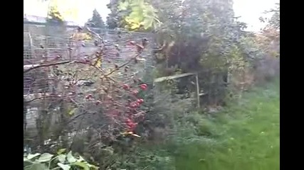 Видео тест със Sony Xperia X8