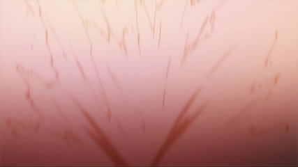 Amv - Colours - Carousels - Multi-anime