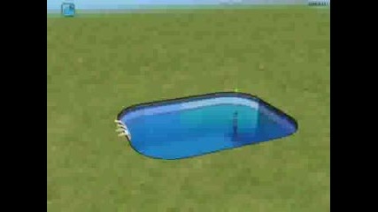 Sims