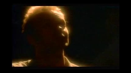 Sting - Fields Of Gold 