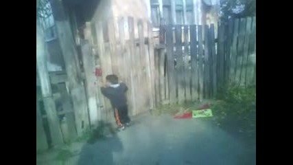 serkan boxsa 