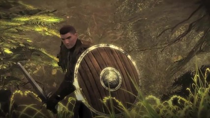 Guild Wars 2 - Warrior Skills