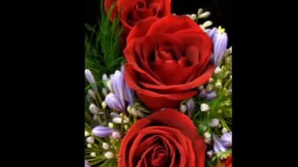 Marinko Rokvic - Jedina je zelja moja