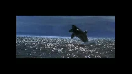 Free Willy - Will You Be There