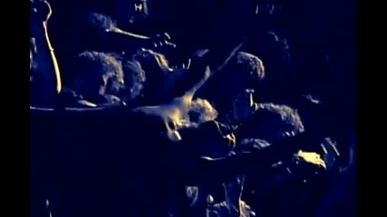 Warrant - Blind Faith 