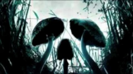 Project Horizon - Guys, We Are About To Trip