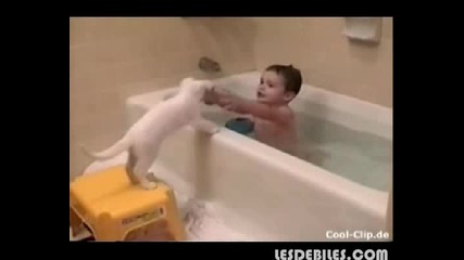 Ох баня, ох кеф!