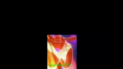 Winx Club Believix Transformation (split Screan)