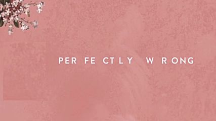 Shawn Mendes- Perfectly Wrong ( Audio )