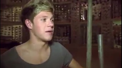 1d Day - Niall Zappar Bts Story Of My Life