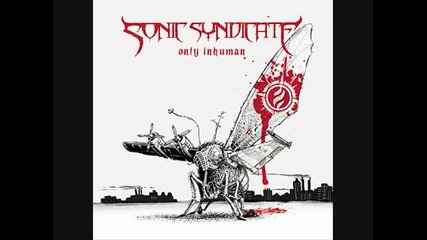 Sonic Syndicate - Freelancer 
