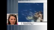 Четирима българи са спасени от горящия ферибот „Норман Атлантик”