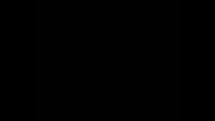 Polish Lisses footage 2007