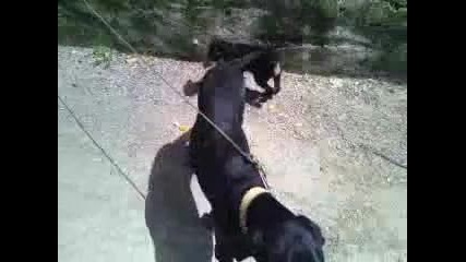 Vid-20140530-wa0004