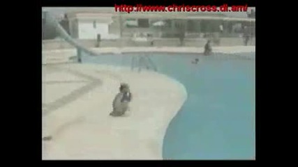Да паднеш от смях!