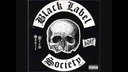 Black Label Society - No More Tears ( Ozzy Osbourne cover )