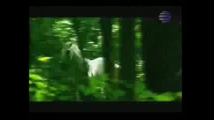 Глория и Азис - Прави любов, а не война