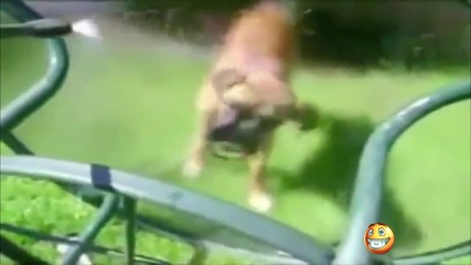 Компилация Смях - Best Girls Fail Compilation (720p)