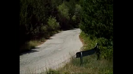 Рали България 2008