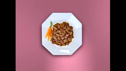 cesar® Tv commercial_ i promise to be there when you wake