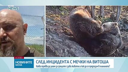 За какво да внимаваме по време на разходка в планината