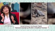 Маги Гигова за екзотичните пътешествия до Боливия и Галапагос