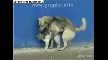 Без Думи 3 :)
