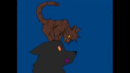 warrior cat 