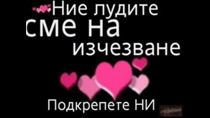 nai ludite momi4eta
