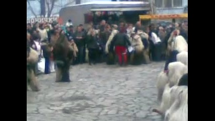 kalugerovo 2010
