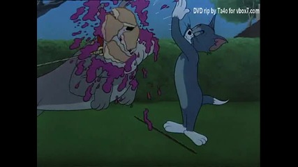 Tom and Jerry - Smarty Cat 