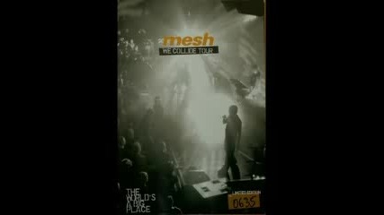 Mesh - This Without You