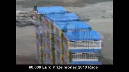 sportni galabi