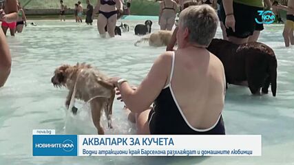 Прохлада в жегите: В Каталуния отвори врати воден парк за кучета