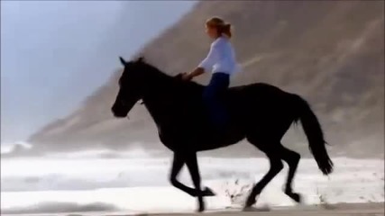 Sting & Cheb Mami - Desert Rose