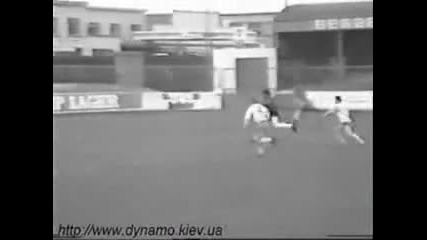 100 Funny Falls