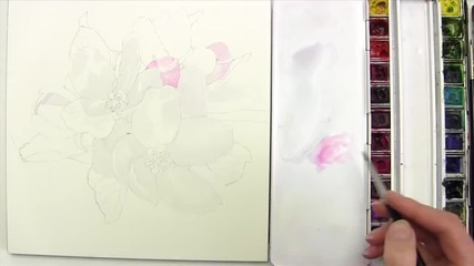 Как да нарисуваме ябълков цвят с акварел /урок от Anna Mason/