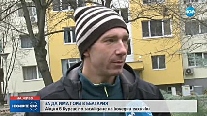 Акция по засаждане на коледни елхички в Бургас