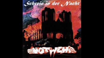 Notwehr - Schreie in der Nacht