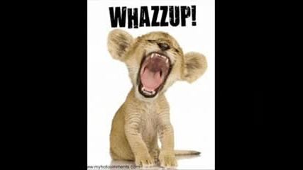 Dj Macro (original Mix) 2009
