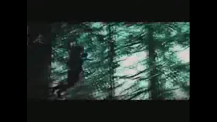 edward bella - collide