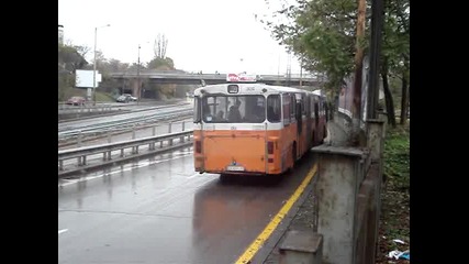 Автобус 305