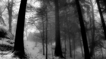 Aylwin - Soil And Cold...