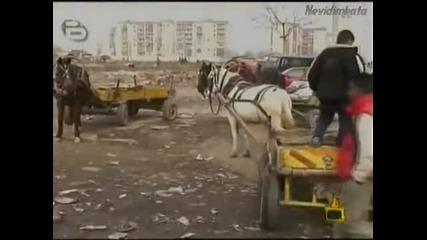 цигани ще те научат как да крадеш