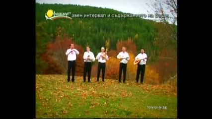 инструментална груп лира - от како се е роднино