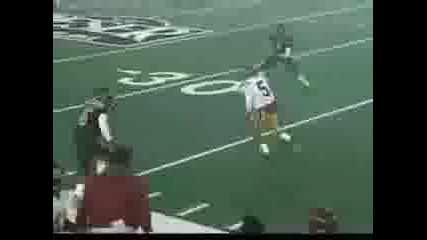 Reggie Bush Highlights