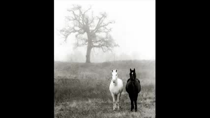 Silent wedding...