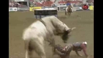 Shane Proctor Vs. Holy Moly 